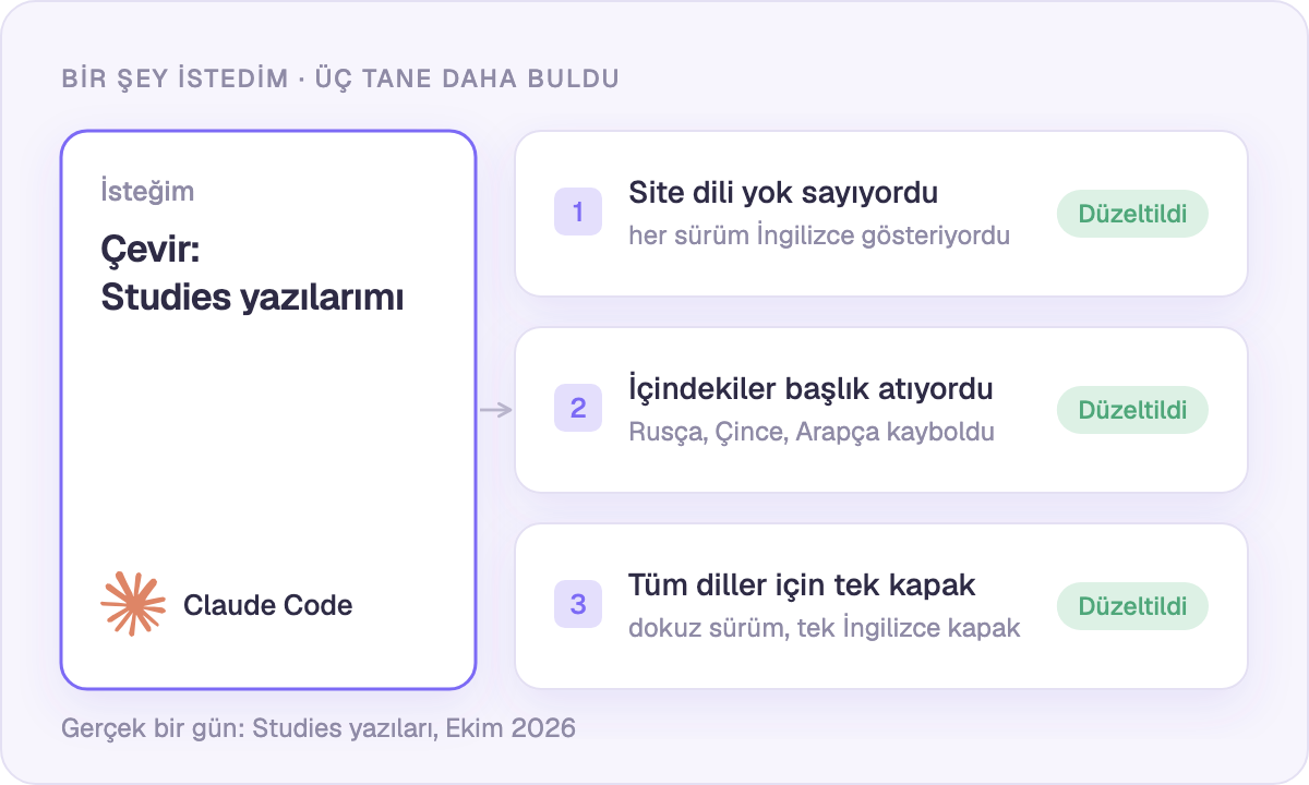 Çeviri istedim; varlığından haberim olmayan üç sorun buldu