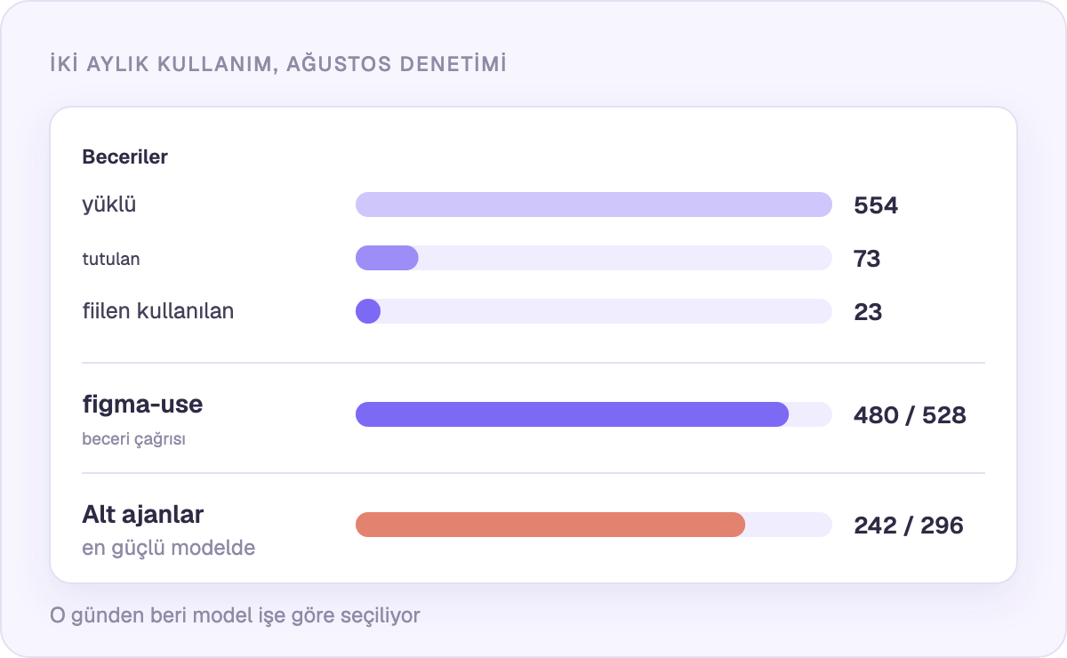 İki aylık kullanım: yüklü olanlar ve gerçekten kullanılanlar